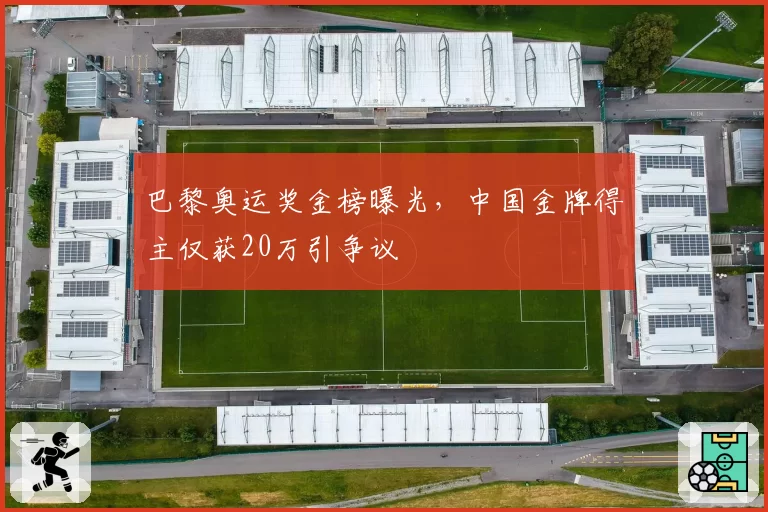巴黎奥运奖金榜曝光，中国金牌得主仅获20万引争议